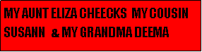 Text Box: MY AUNT ELIZA CHEECKS  MY COUSIN                         SUSANN   & MY GRANDMA DEEMA 