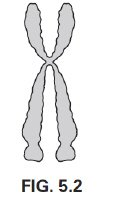 mc043-1.jpg