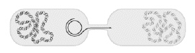 mc026-1.jpg