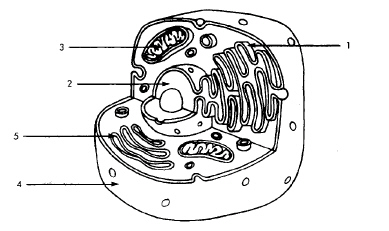 nar001-1.jpg