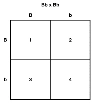nar001-1.jpg