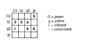 nar002-1.jpg