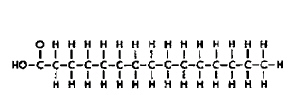 nar001-2.jpg