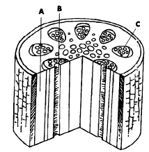 nar002-1.jpg