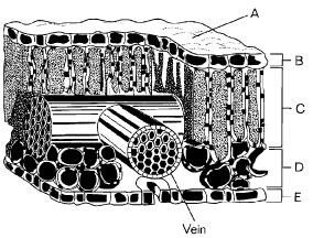 nar003-1.jpg
