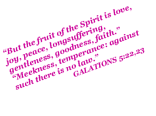 Text Box: But the fruit of the Spirit is love, joy, peace, longsuffering, gentleness, goodness, faith.Meekness, temperance: against such there is no law.                                GALATIONS 5:22,23